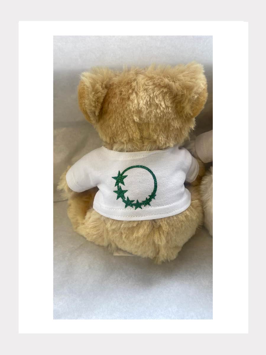 TEDDY Bär - Knuddelbär