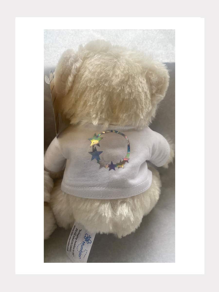 TEDDY Bär - Knuddelbär