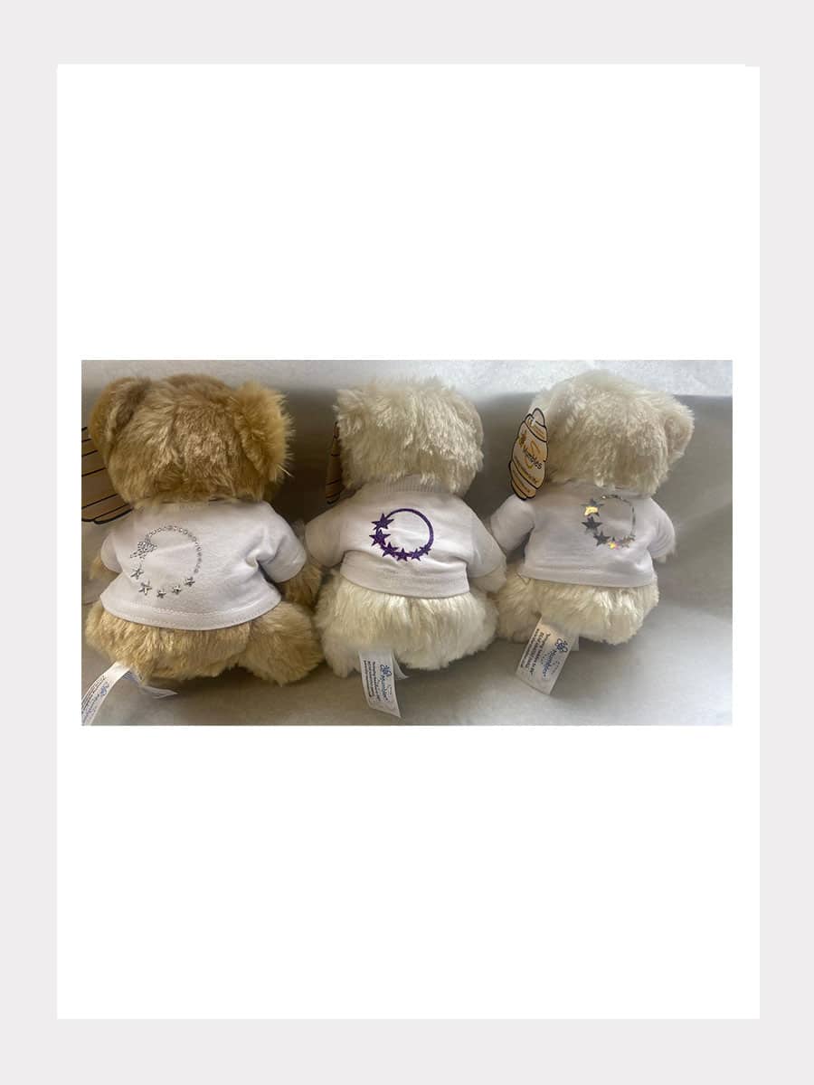 TEDDY Bär - Knuddelbär
