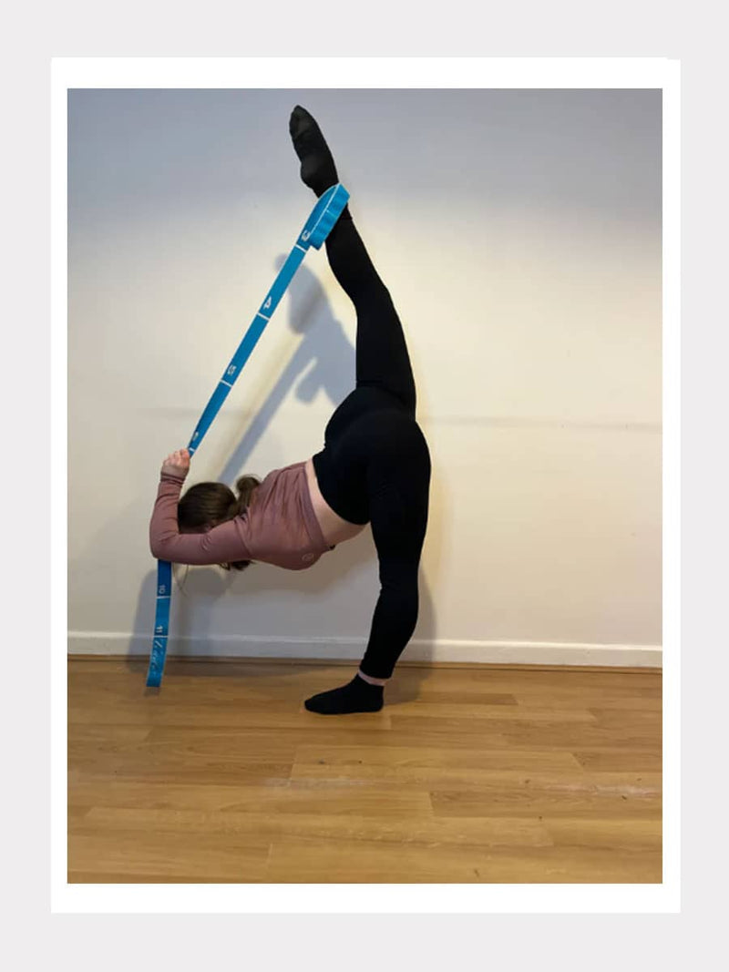 Multi Loop Trainingsband
