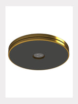 ESC Elite Spinner - Vorbestellung